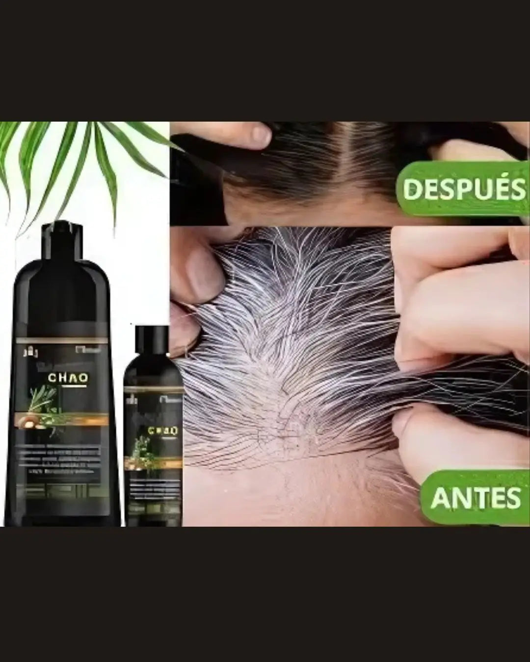 SHAMPOO CHAO CANAS +TRATAMIENTO